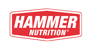 sponsor-hammer